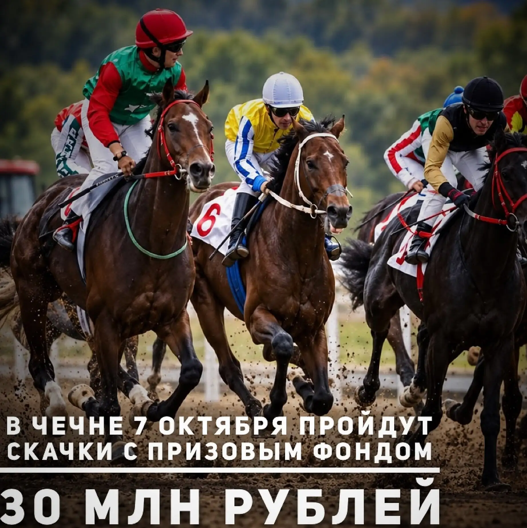 7 октября 2026 года на Грозненском ипподроме пройдут скачки с общим призовым фондом 30 ...