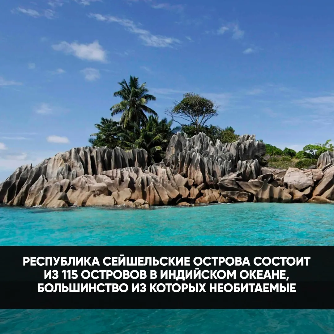 Каждый день новый факт, подпишись!
