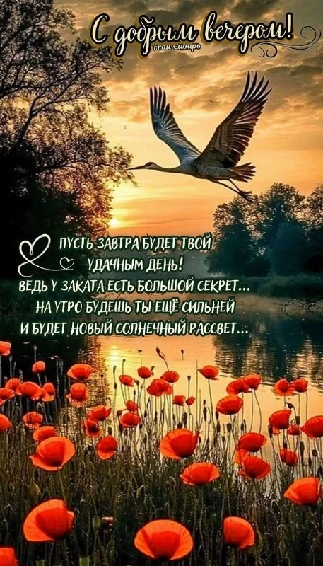 Открытки: подписаться ❤️