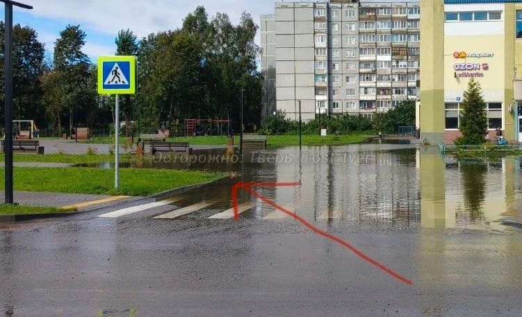 🦆 В Юности прямо перед ТЦ «Молодёжный» после дождя поплыли утки и машины.