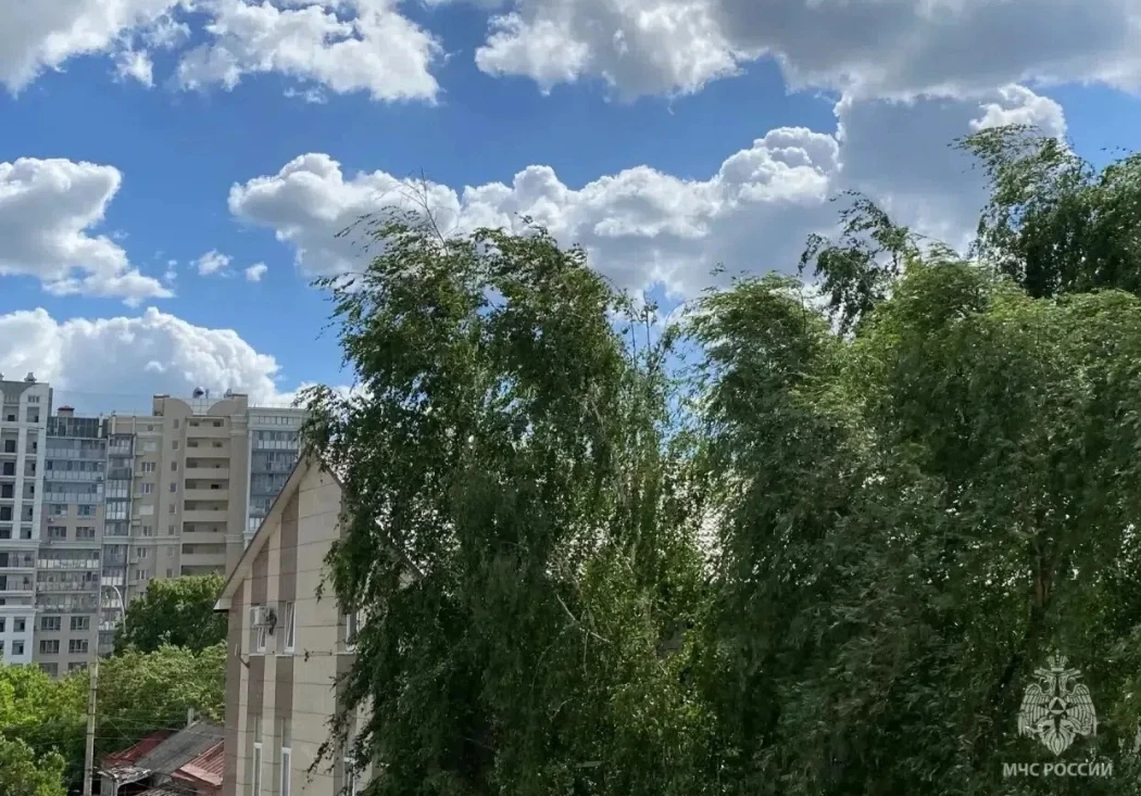 Белгородские синоптики прогнозируют дожди и ветер с порывами до 20 м/с💨

По данным синоптиков, 15 и
