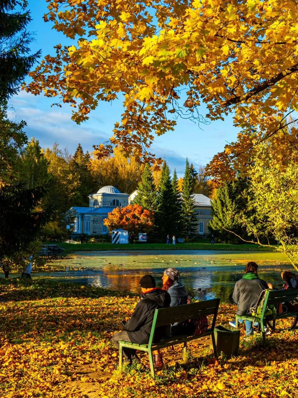 🧡 Самые красивые осенние локации для прогулок и атмосферных фотосессий