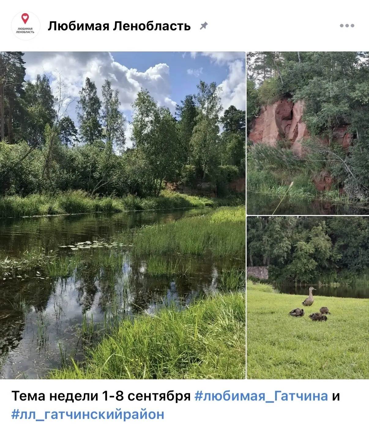 Тема недели 1-8 сентября #любимая_Гатчина и #лл_гатчинскийрайон
