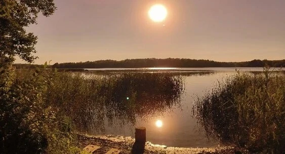 ⚡️Волна аномальной жары накроет Смоленскую область