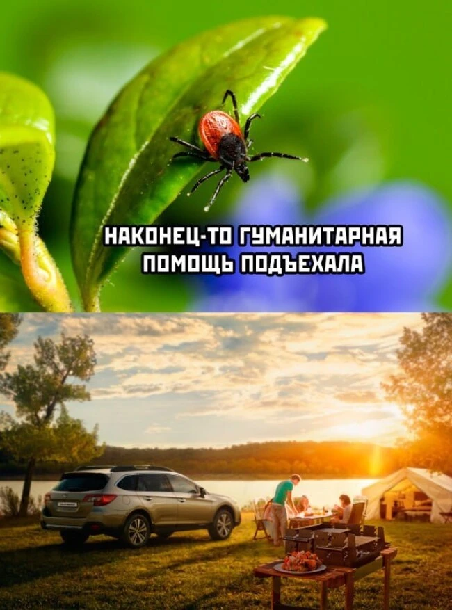 ЯНТАРНОЕ ПРЕДУПРЕЖДЕНИЕ