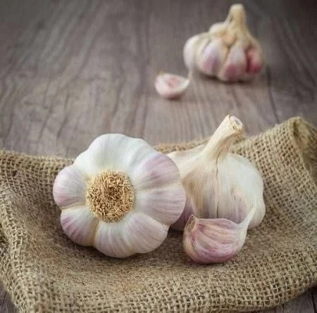 🌿 Чеснок — главный продукт, продлевающий жизнь
