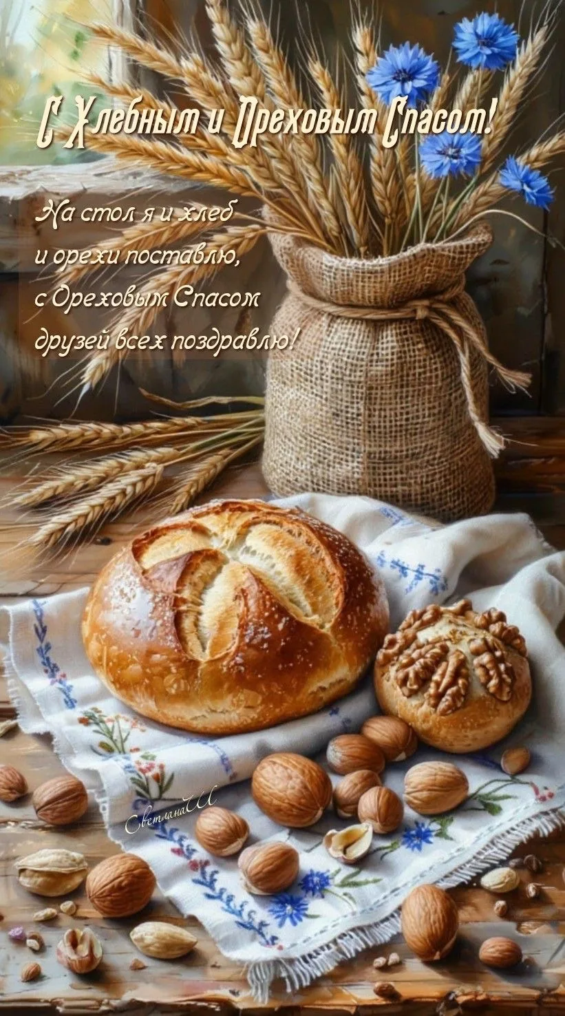 МОИ ОТКРЫТКИ 💌
