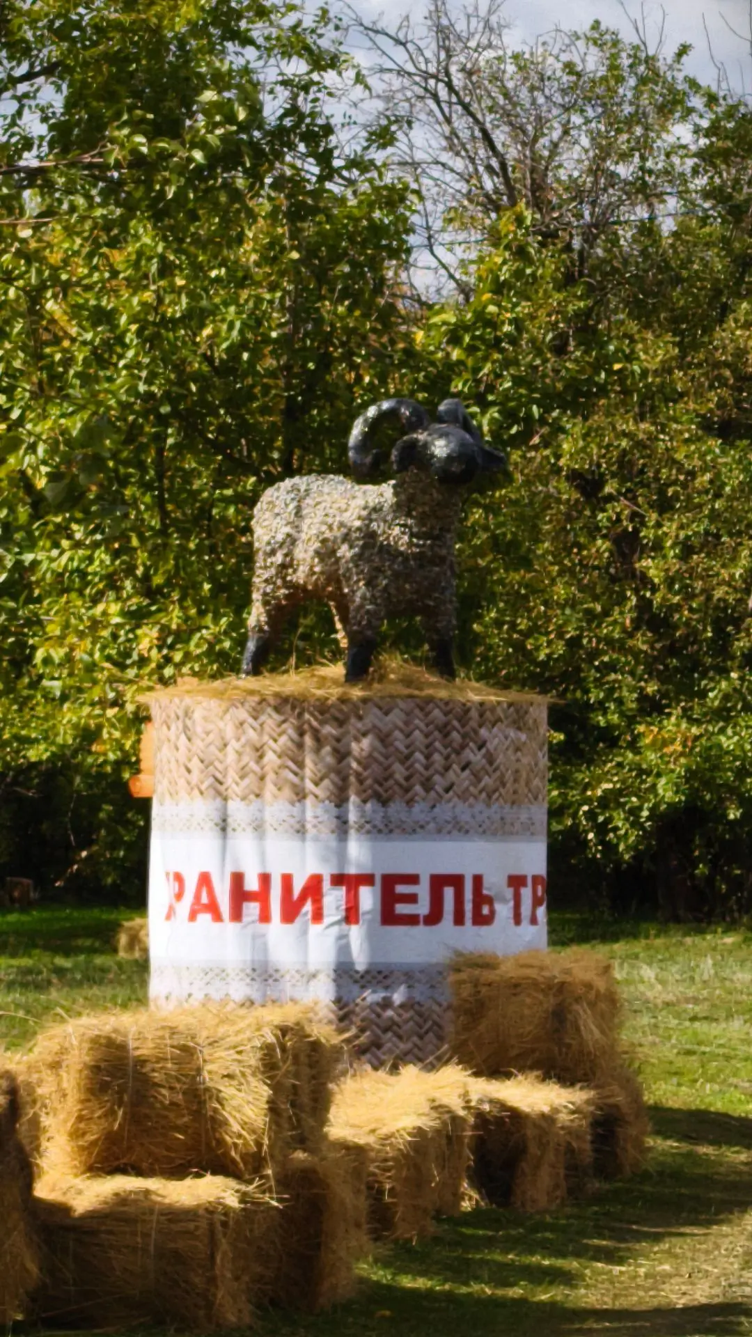 Доброе утро, друзья! ☀️