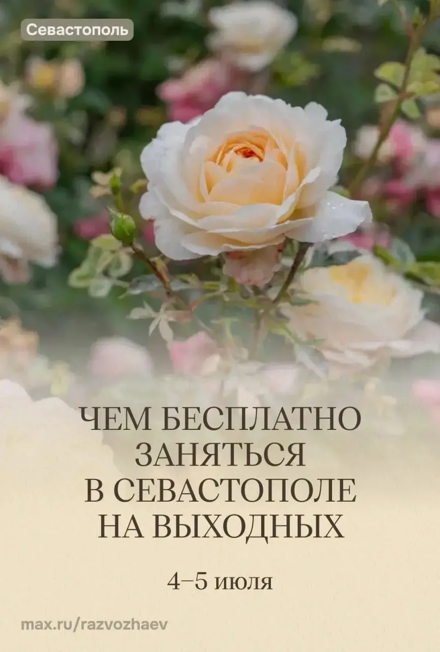 🎭 Сходим на бесплатные мероприятия от госучреждений Севастополя

Подробнее — в карточках от Михаила