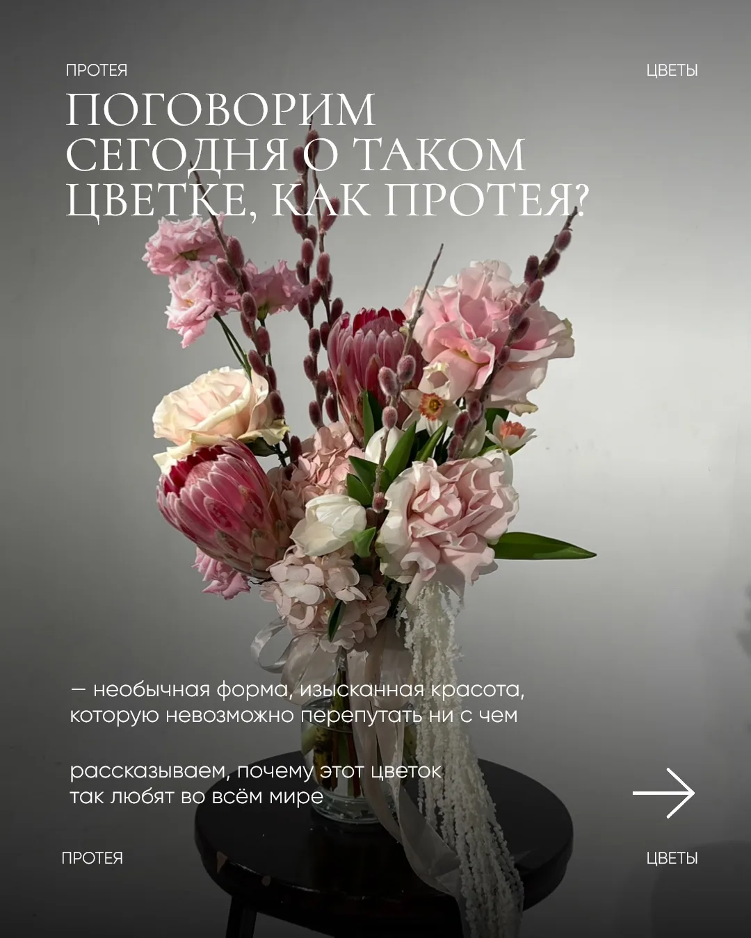 Протея — цветок, в честь которого мы названы, наша муза и вдохновение🩷