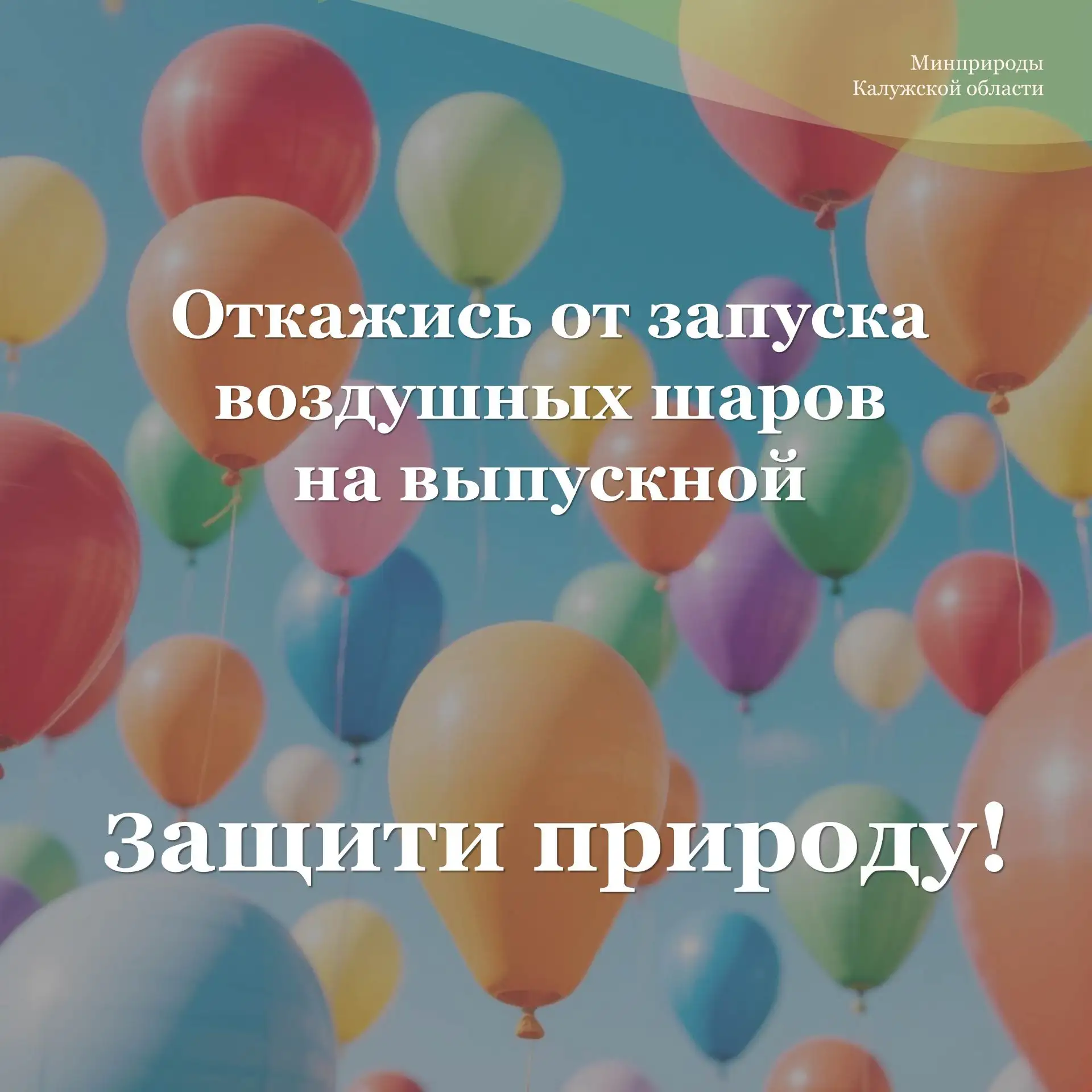Откажитесь от запуска воздушных шаров на выпускных — защитите природу