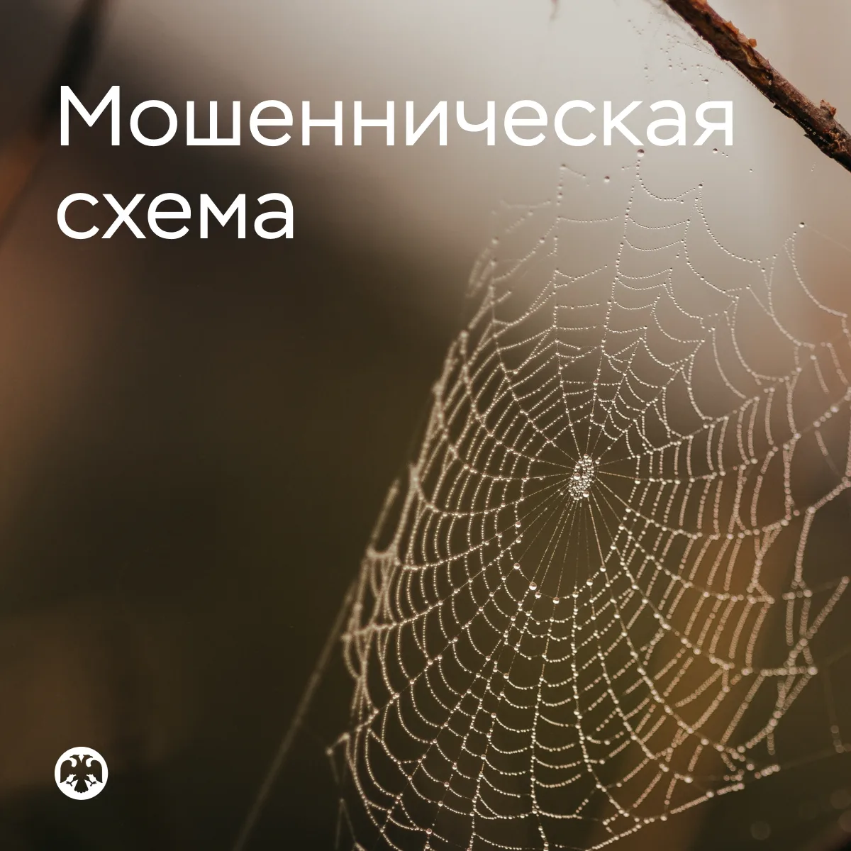 ⚠️ Просят перезвонить «госслужащие» — это тревожный звоночек