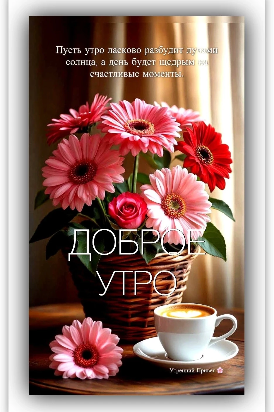 Доброе утро. Хорошего дня и отличного настроения!