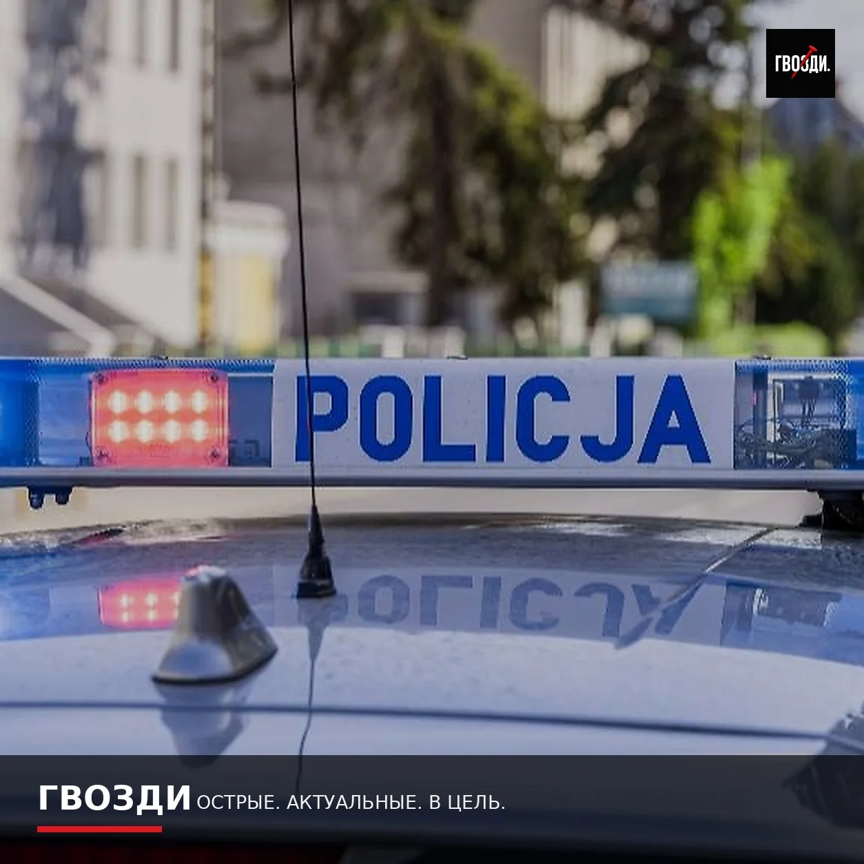 В польском техникуме семь человек ранены при нападении с ножом