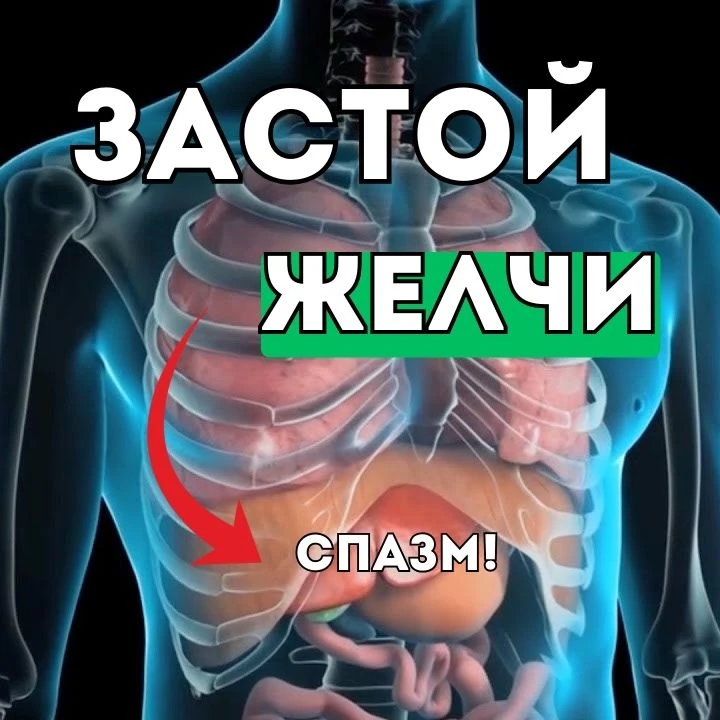ЖЕЛЧНЫЙ ПУЗЫРЬ СТРАДАЕТ из-за СПАЗМА, А НЕ ИЗ-ЗА ЕДЫ

Неправильное питание лишь усиливает симптомы.
