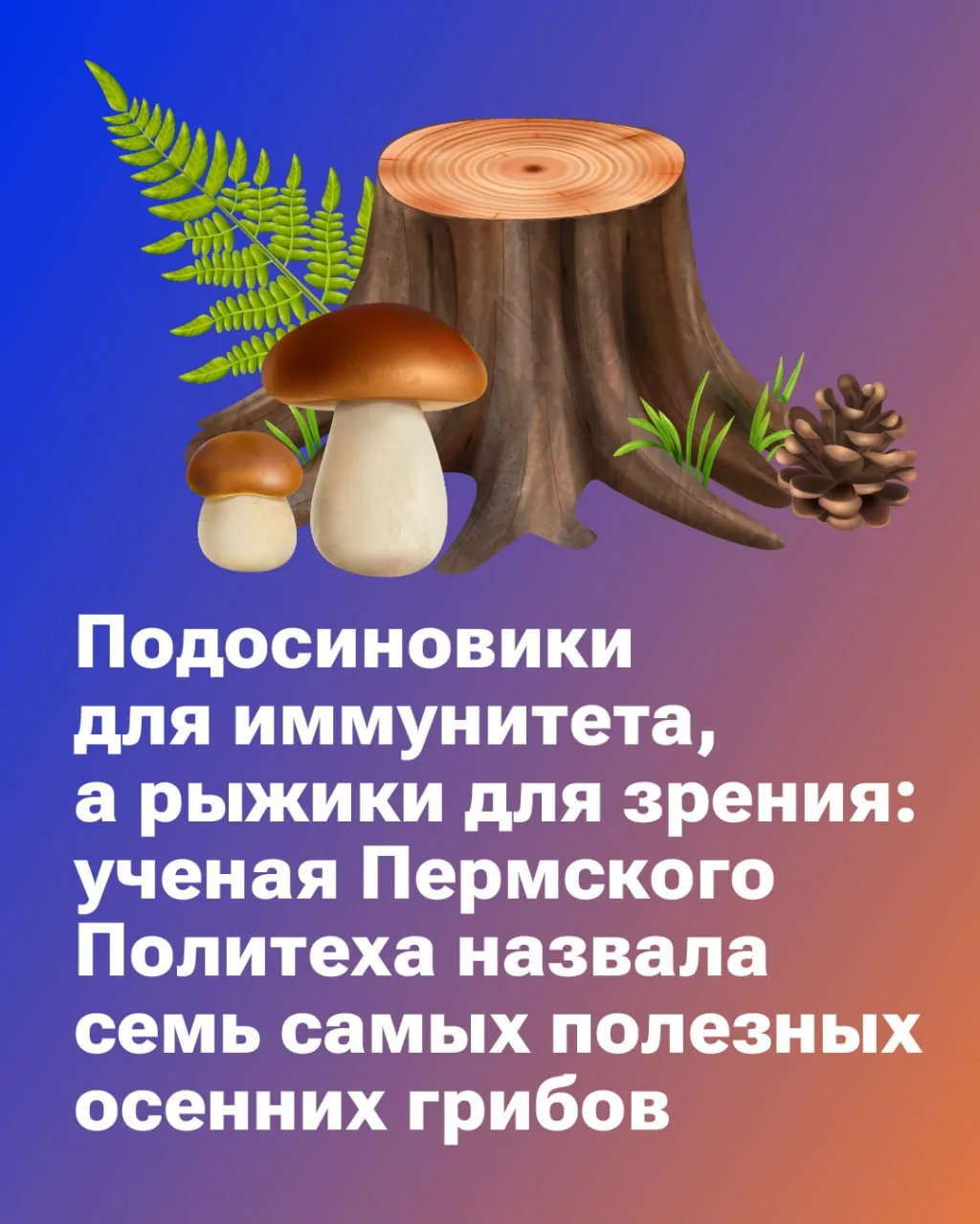 🍄‍🟫 С приходом осени тысячи людей выдвигаются на сбор лесного урожая. При этом хочетс...