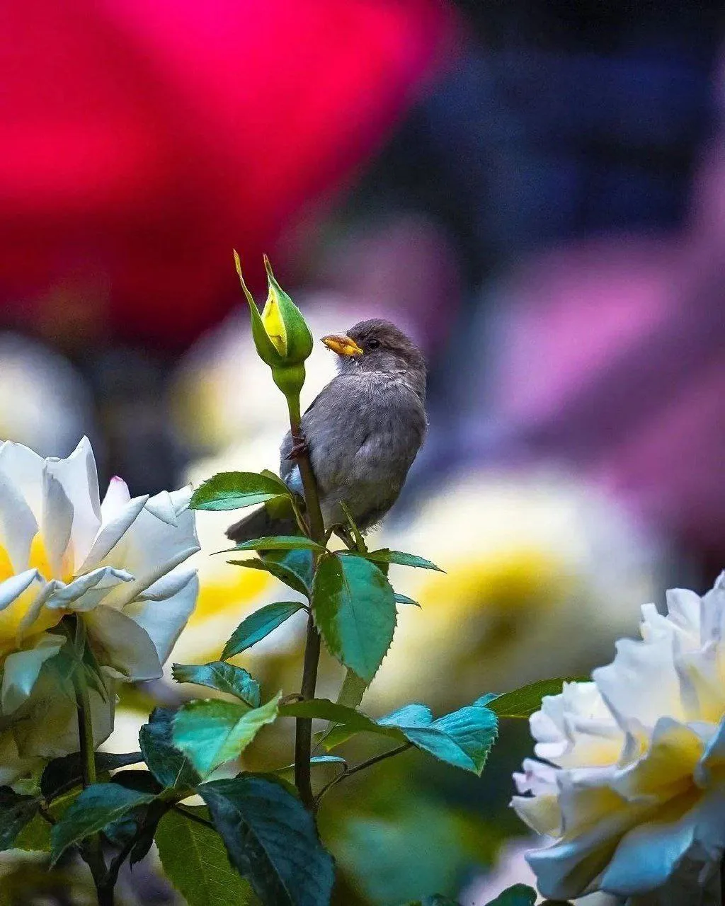 ☀ Солнечный день в парке Горького

📸 1fotokot

💬 Московские истории в TG
💬 Московские истории в M