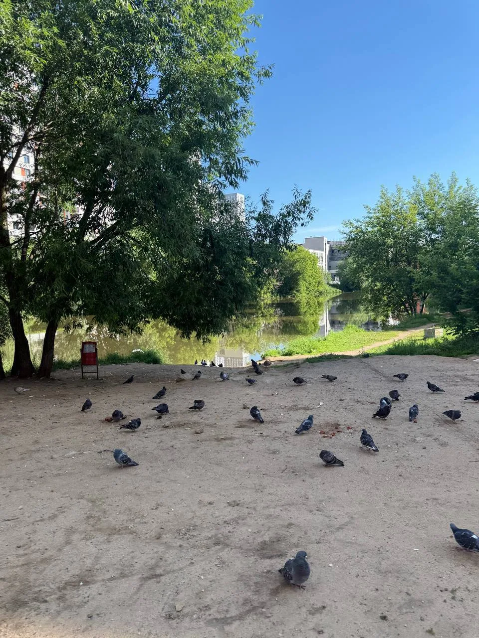 Котельники, Большой Опытный пруд

По дороге к метро около пруда регулярно кормят голубей хлебом и др