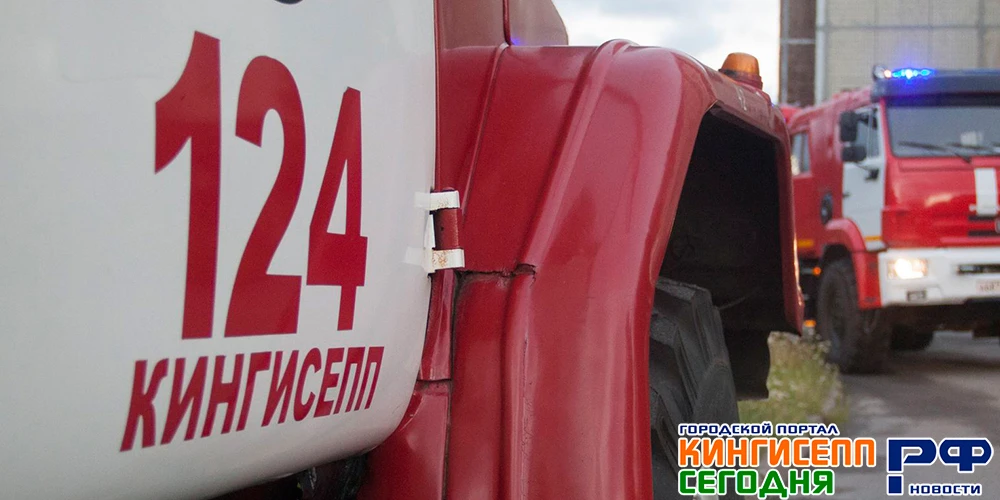 В Кингисеппе спасли мужчину при пожаре

В квартире в Кинигисеппском районе в понедельник ранним утро