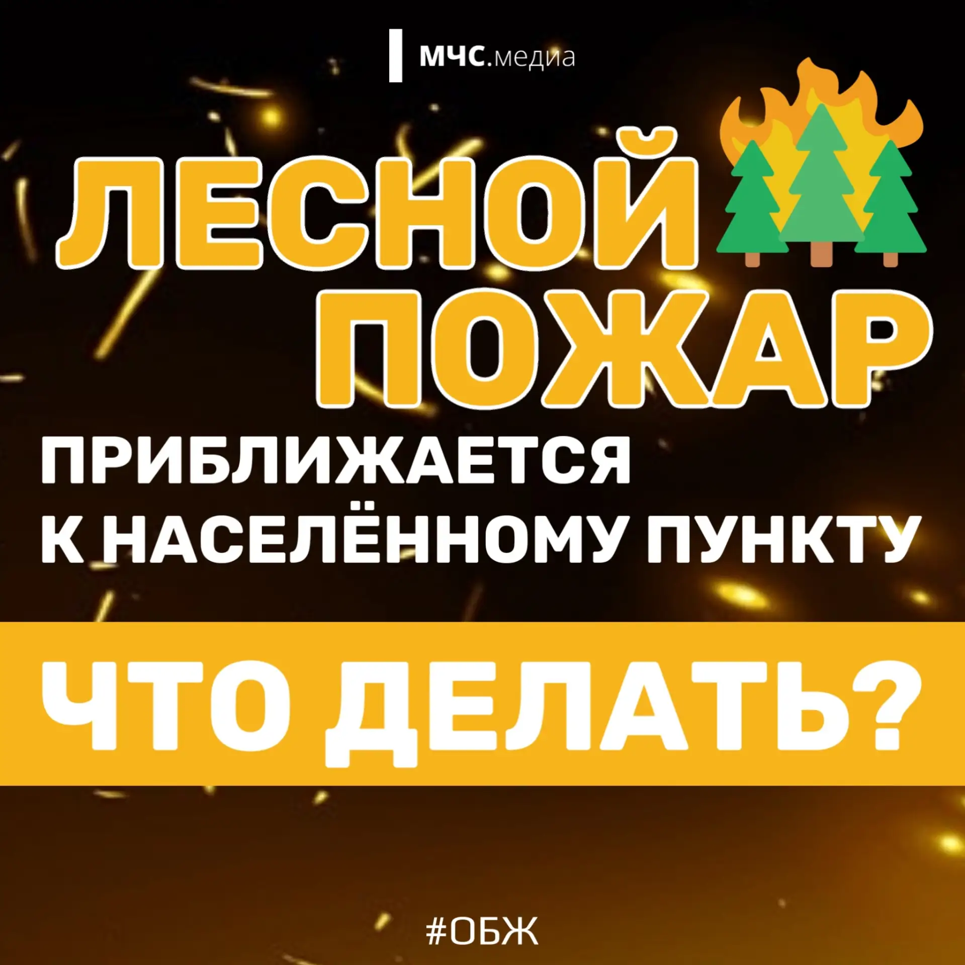 🔥 ЛЕСНОЙ ПОЖАР!

Лесной пожар – явление разрушительное. Стихия уничтожает не только лесной массив, 