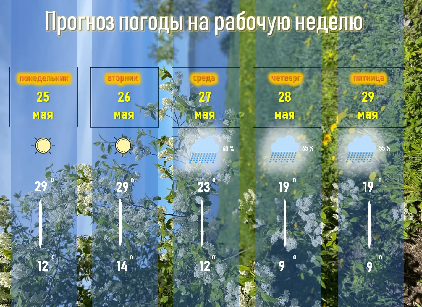 О прогнозе на эту рабочую неделю