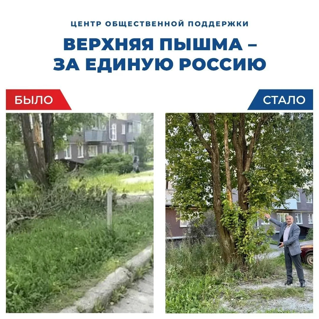 Сильный ветер не прошел бесследно для двора на улице Чистова, 7 — там обломилось дерево...