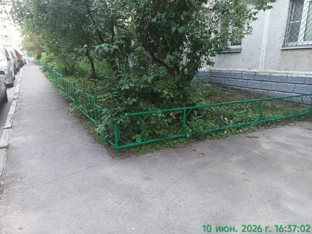 Выполняется ежедневная уборка территории по адресу улица Свердлова дом 57