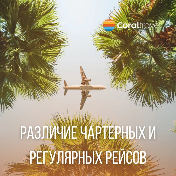 В чем разница между чартерными и регулярными рейсами? 🛫  ✈️ Чартерные рейсы:  💡 Услуги (багаж, питан