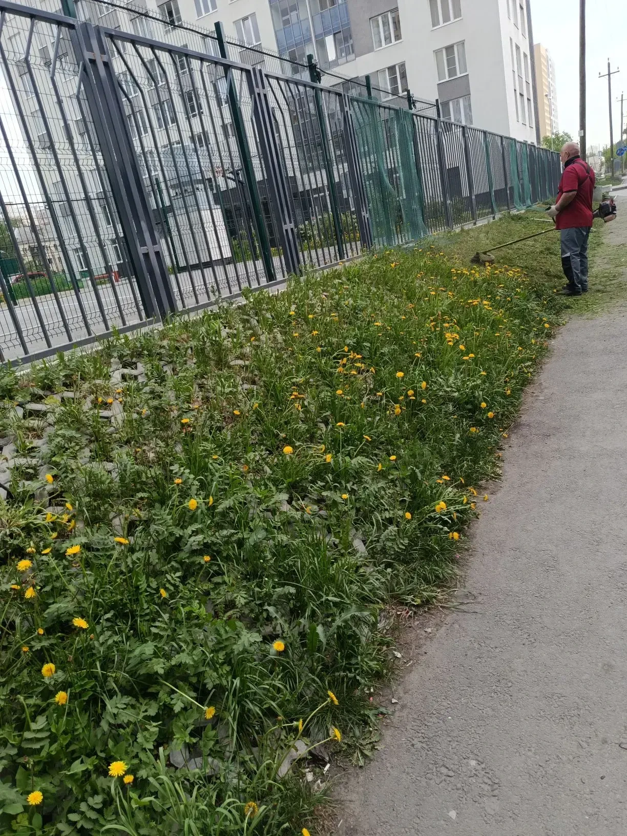 🌾 Внимание! Производится покос травы! 🌾