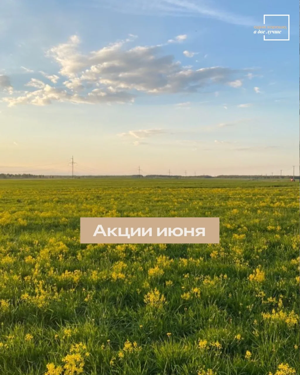 ⛱Акции месяца