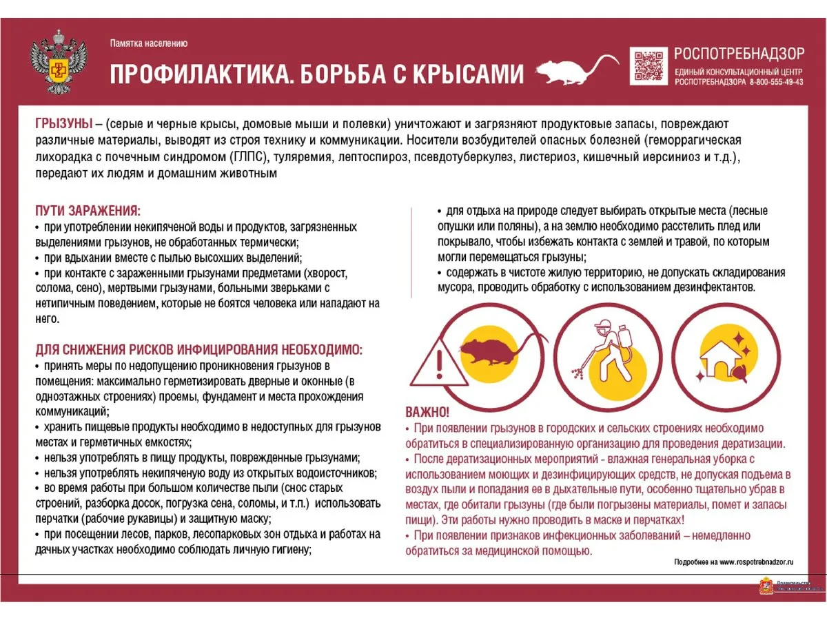 Мариупольцам напоминают о важности борьбы с грызунами

- Носителями каких инфекций являются грызуны?