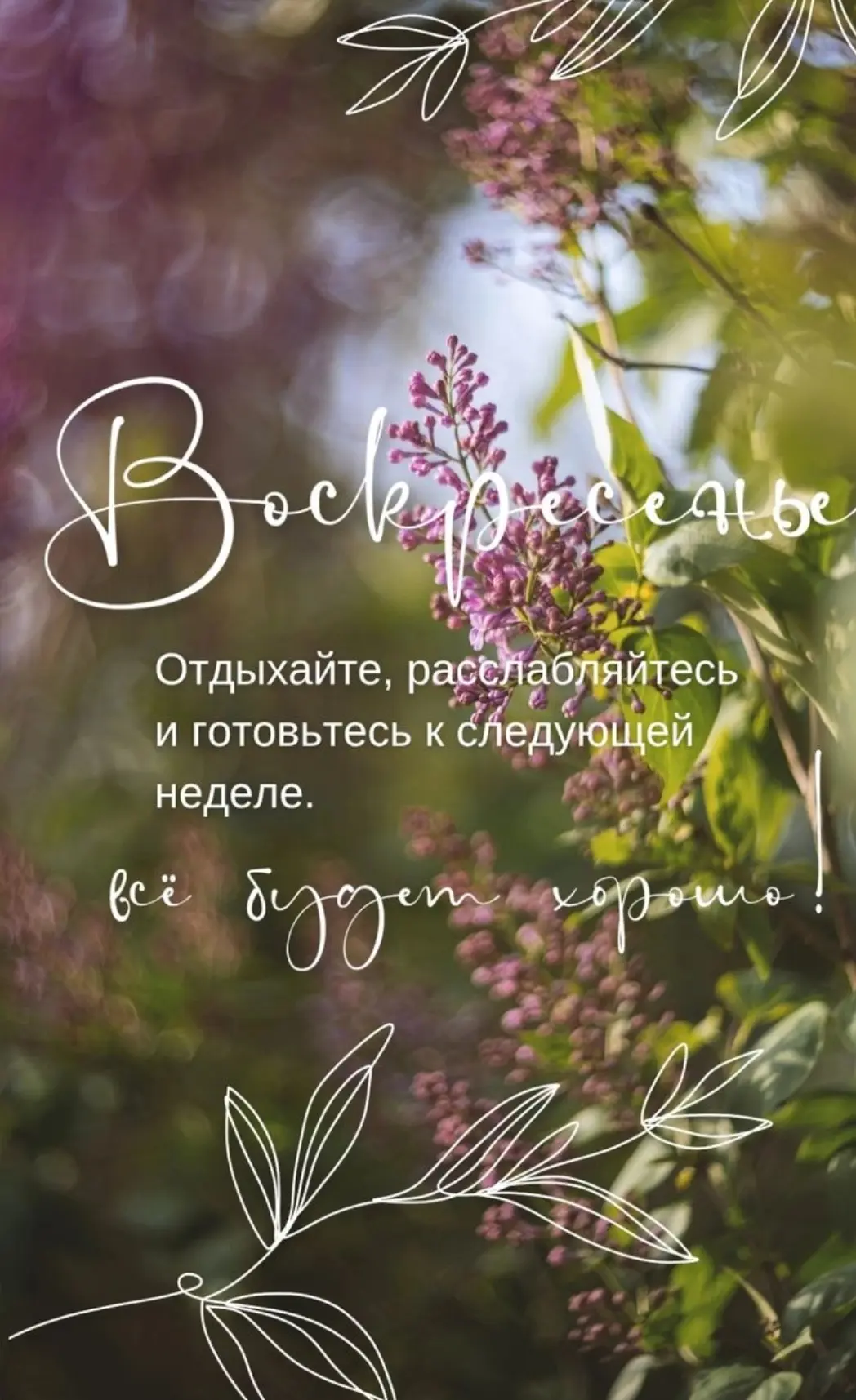 Доброе воскресное утро, дорогие подписчики! ☀️😊

Пусть это воскресенье подарит вам море позитива и 