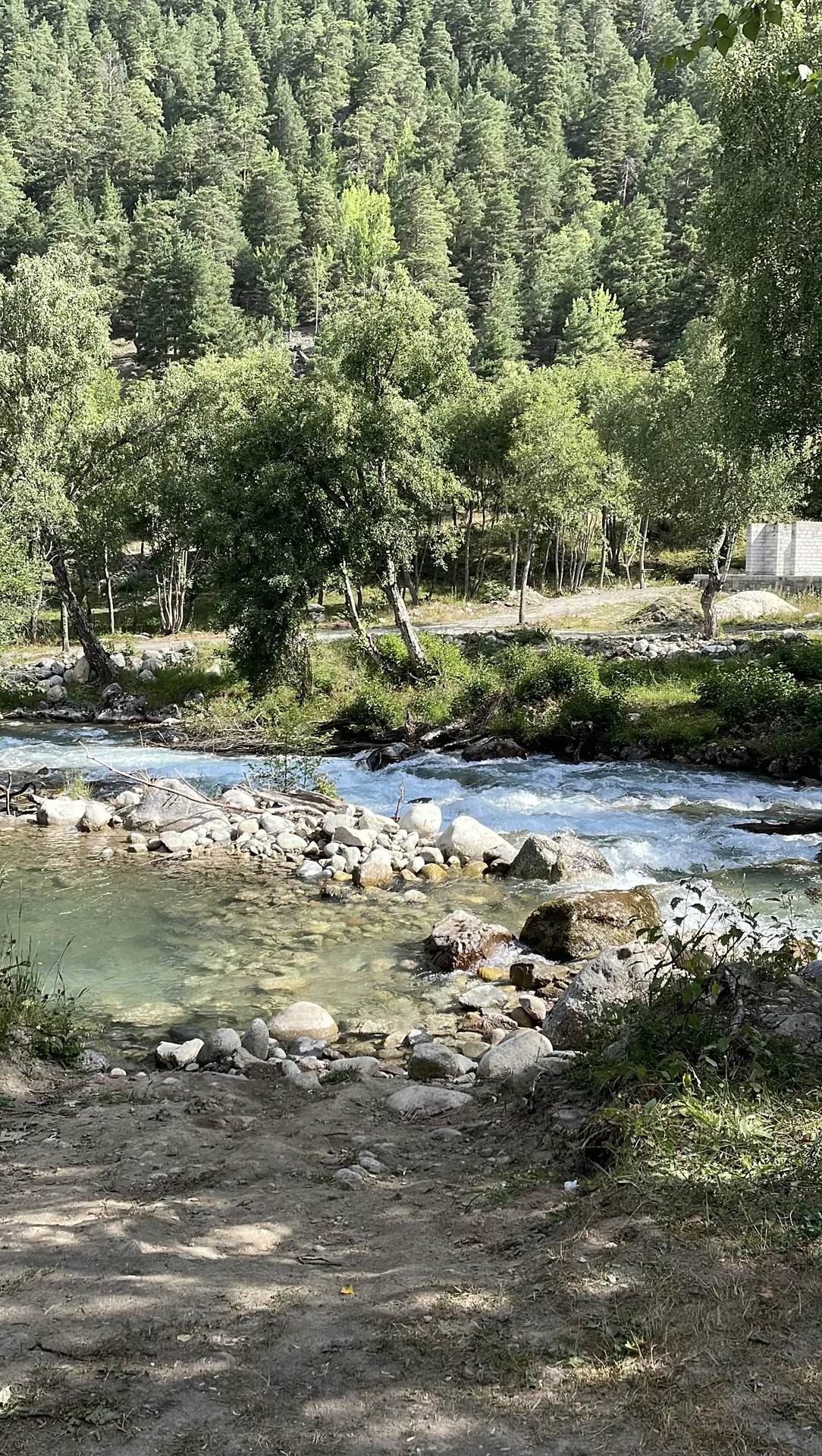 Вперед в поход 🏕️