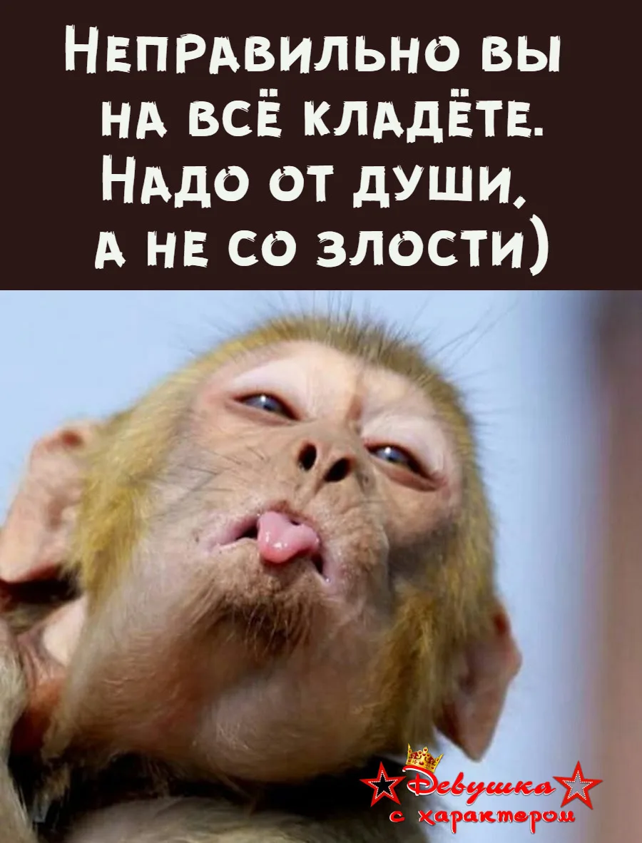 👑 Мадам с характером|