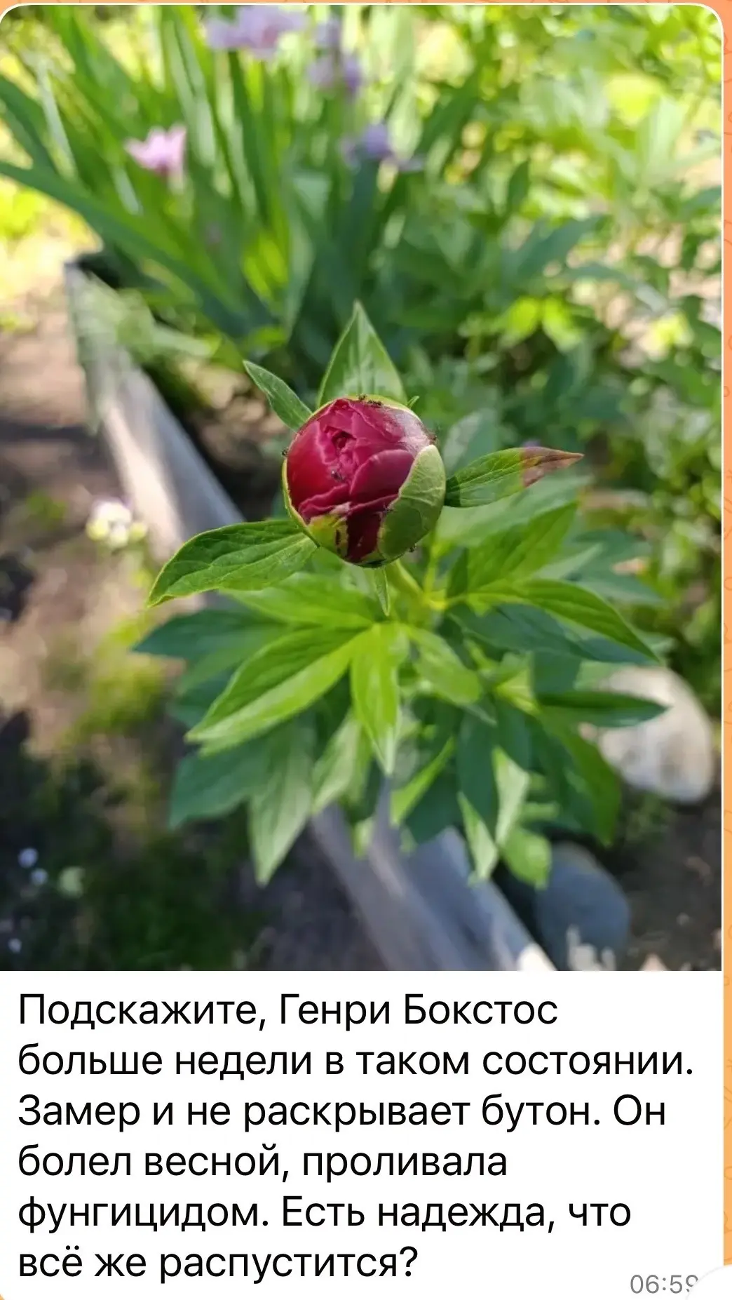 До чего ж садоводы - нетерпеливый народ!