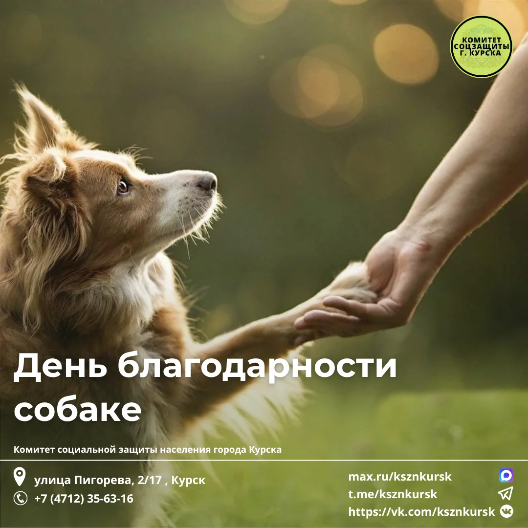 🎉 День благодарности собаке: герои рядом с нами! 🎉