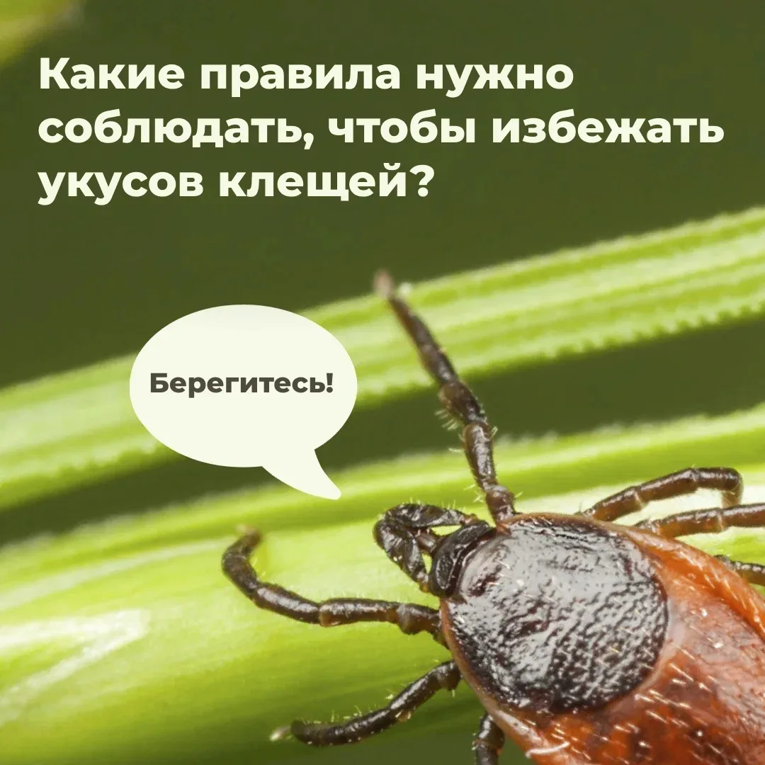 Собираетесь на прогулку, пикник или в поход? Не забудьте про защиту от клещей ☝️
