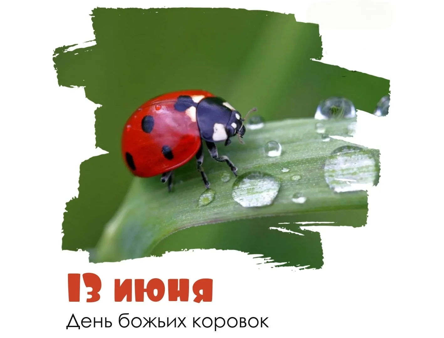 ☁🌧 13 июня ожидается дождливая прохладная погода. Воздух прогреется до +18° днем и до +13° ночью. О