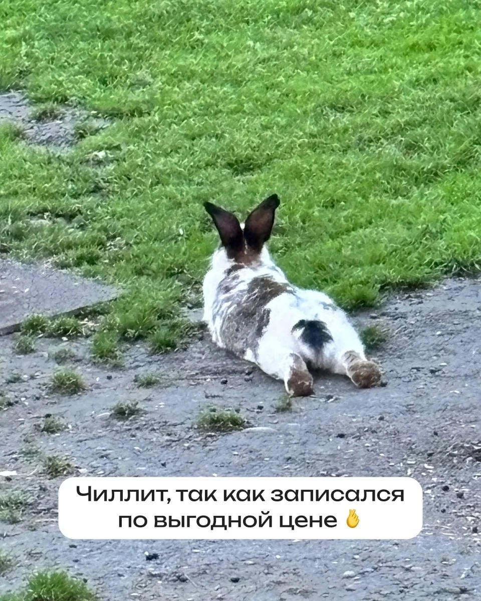 Все уже взяли Годовой, кто хотел? 🤩