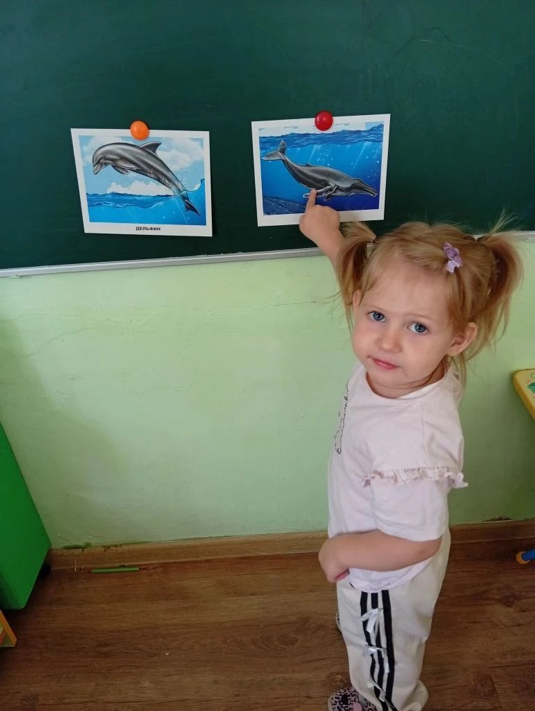 В младшей группе прошло познавательное мероприятие, посвящённое  Всемирному дню китов и дельфинов. Р