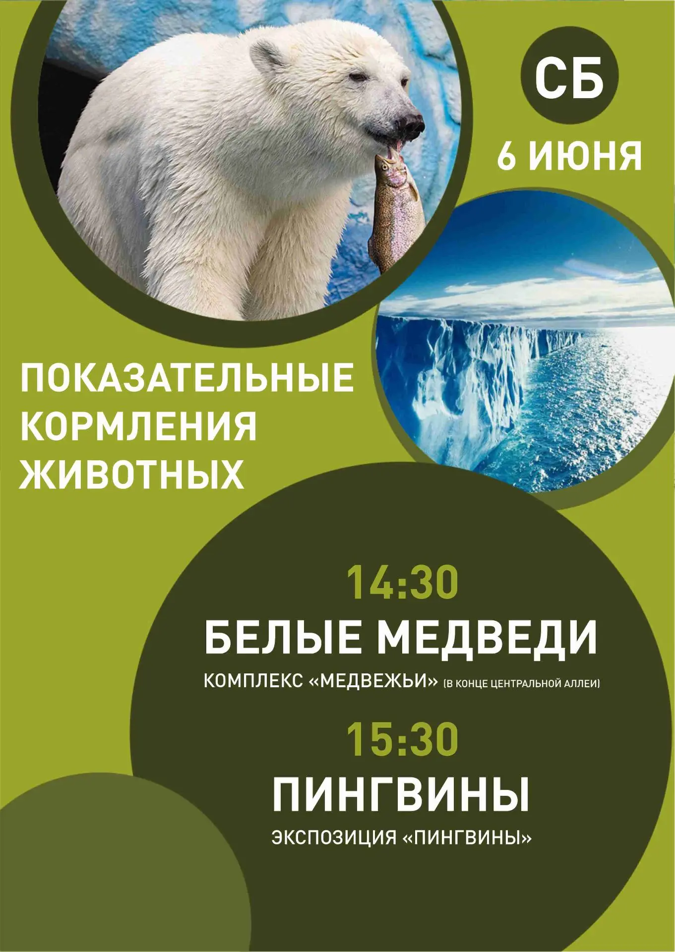 В предстоящие выходные - показательные кормления животных и Танцующее лето! Ловите расписание!
