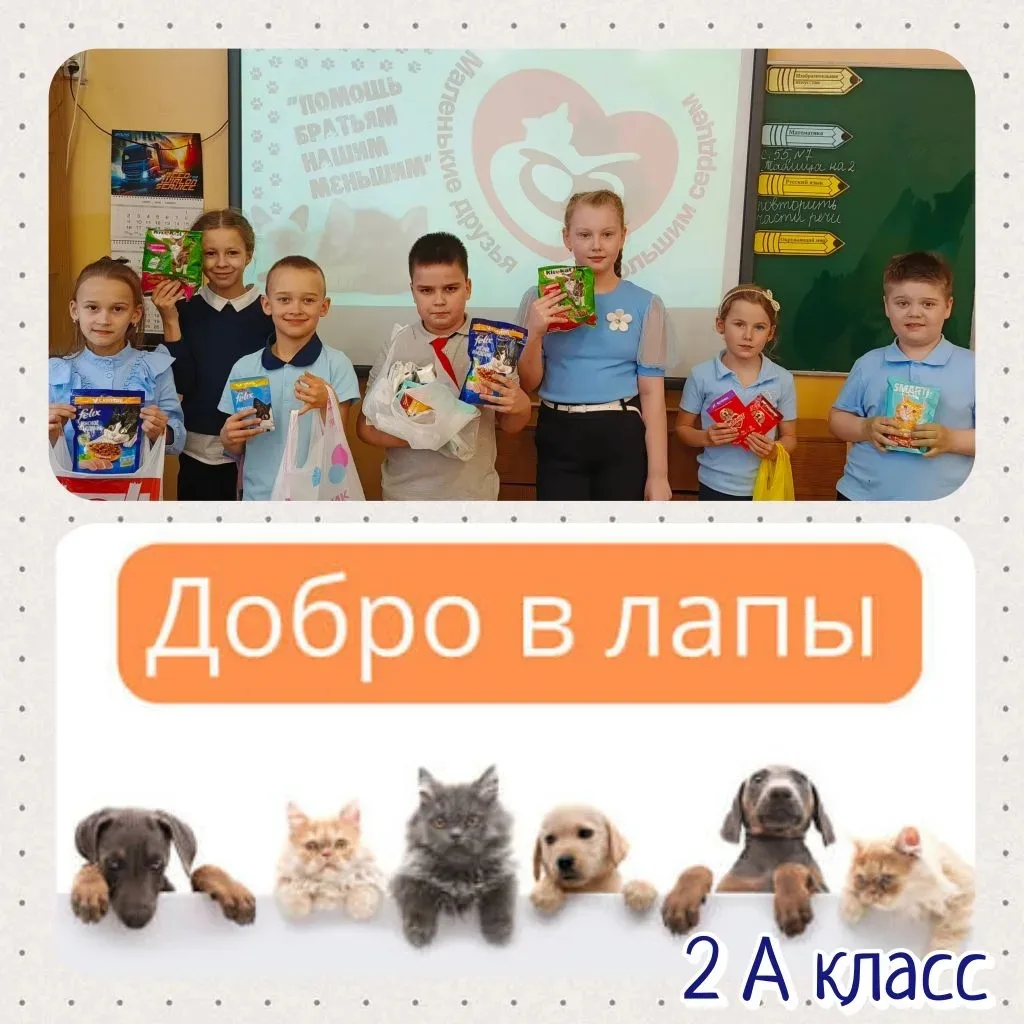 Знаете, что объединяет любовь к животным и активную жизненную позицию?  Правильно, акция «Спешу на п