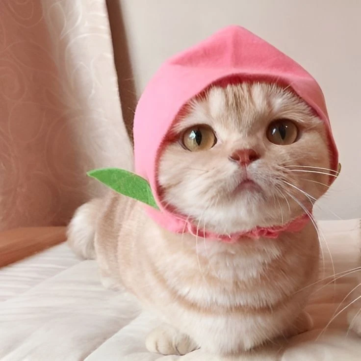Миленькие авы