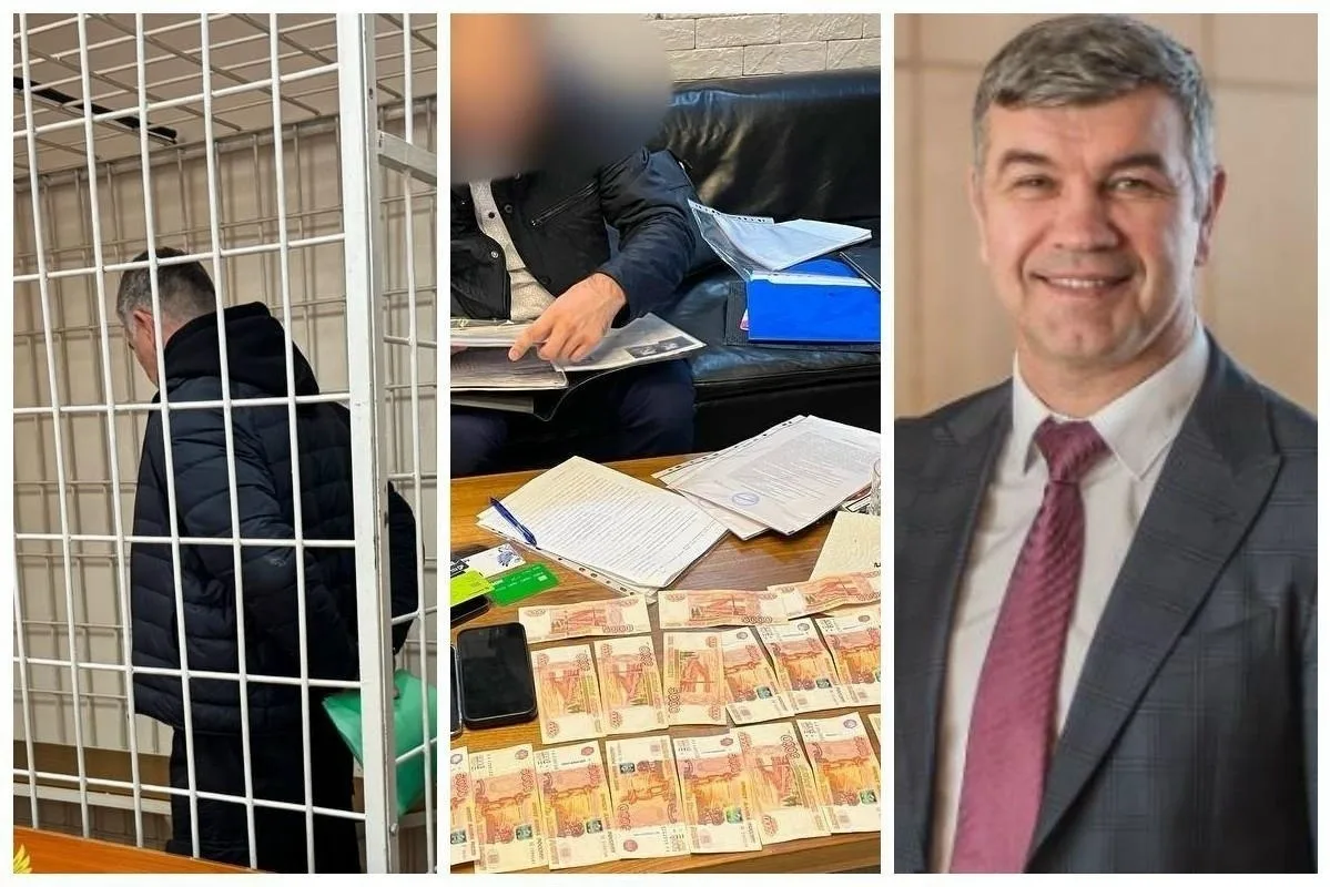 Год в СИЗО и дело на 260 миллионов: бывшего главу новосибирского минпромторга отпустили под домашний