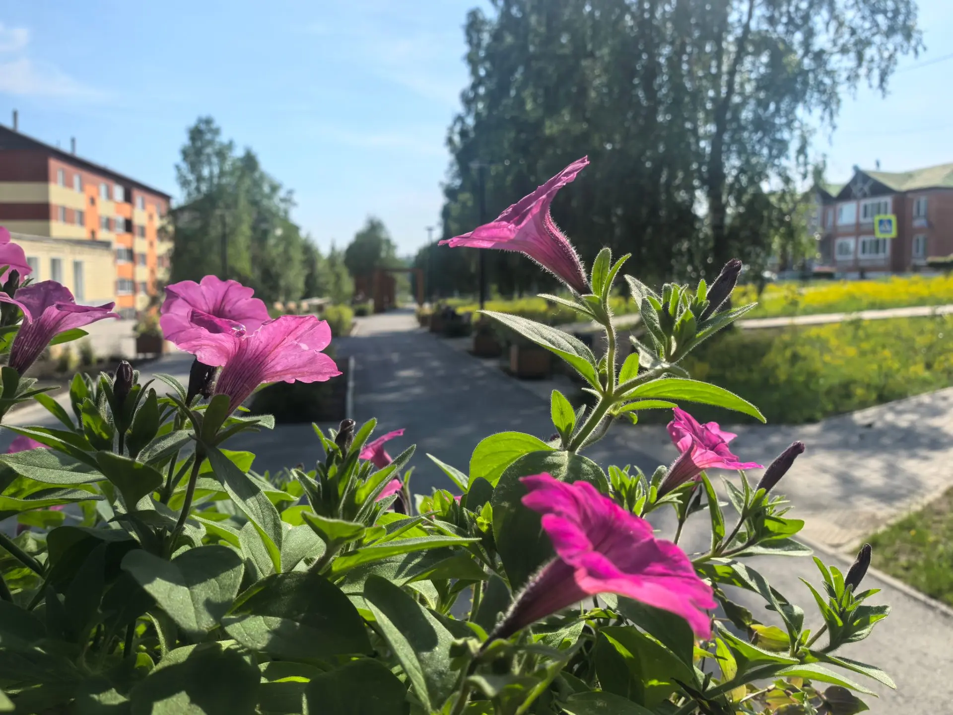 Доброе утро ☀️
