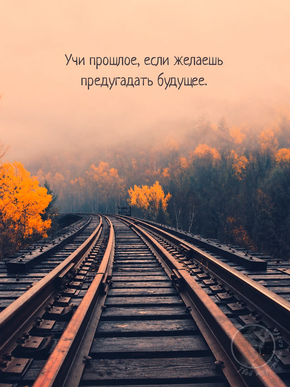 Твой мир, твои слова