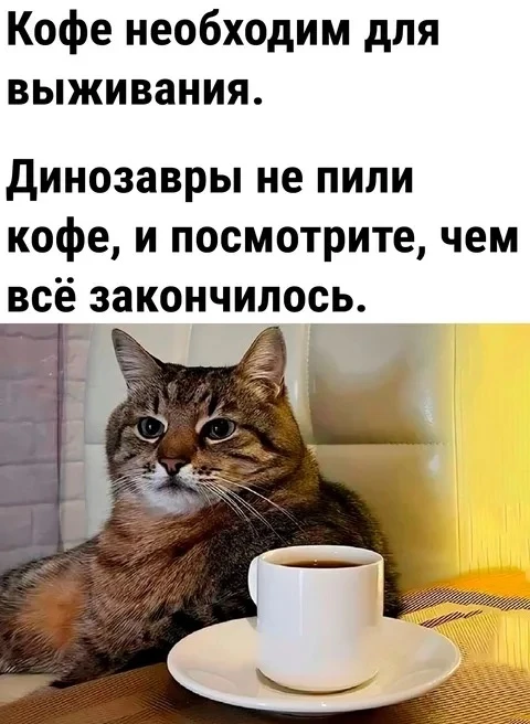 ☕ Кофеманы, сегодня ваш день!