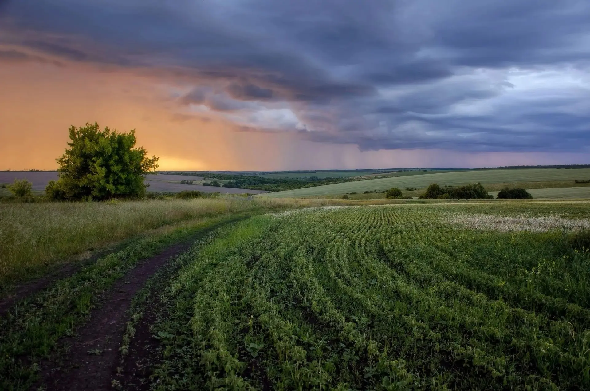 Красивый вид уходящей грозы!🌦️