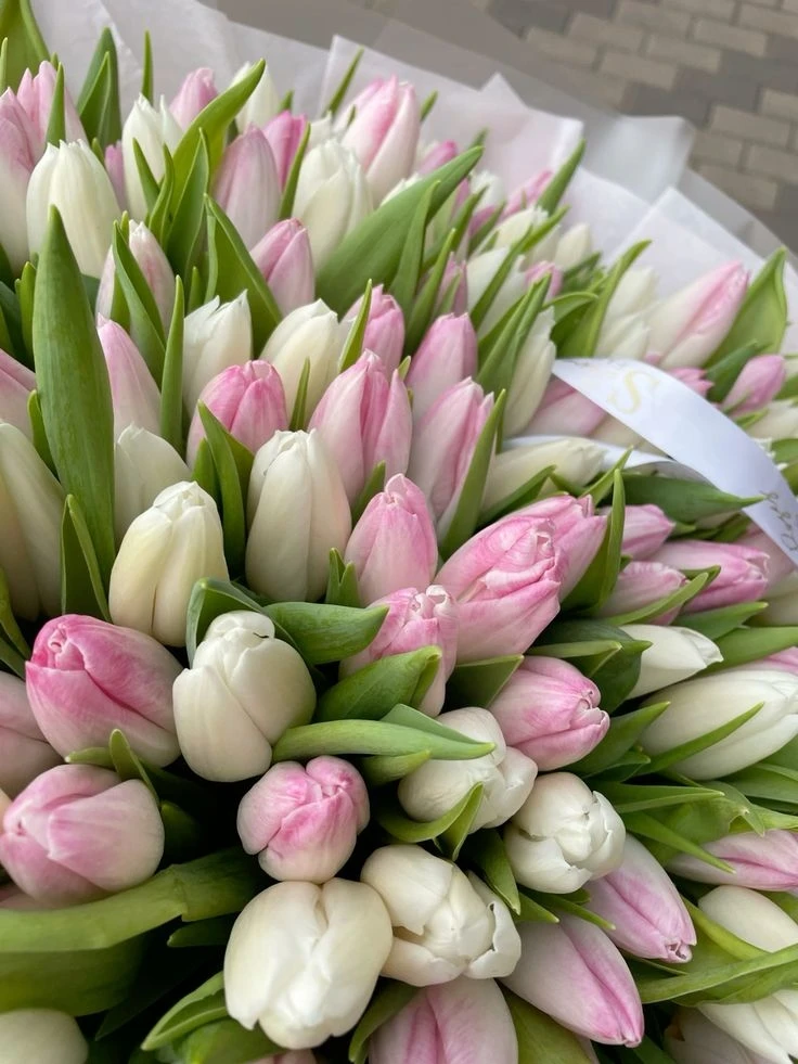Доброе утро💐