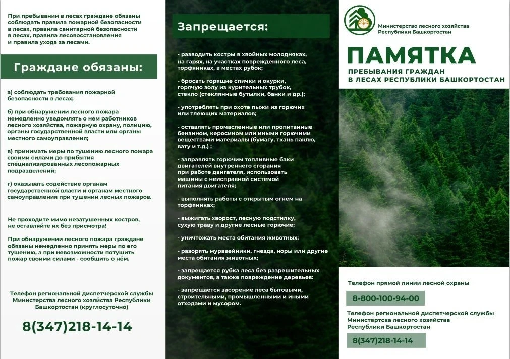 Памятка пребывания граждан в лесах Республики Башкортостан